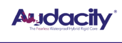 audacity logo