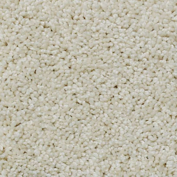 Shaw Floors My Choice III China Pearl SHAW