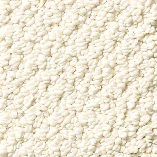 Shaw Floors Truly Relaxed Loop China Pearl SHAW