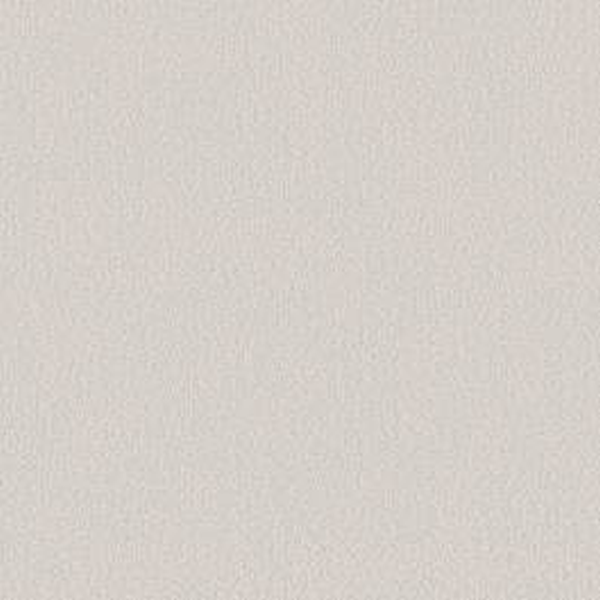 Shaw Floors Way To Go I Drifting Snow SHAW