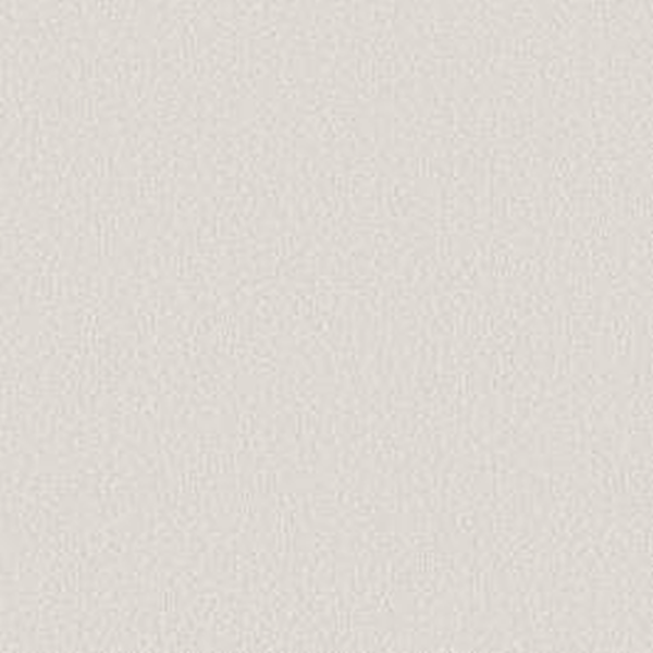 Shaw Floors Way To Go II Drifting Snow SHAW