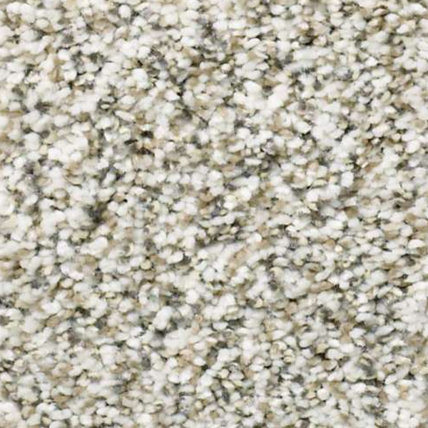 Shaw Floors All Set I Quartz SHAW