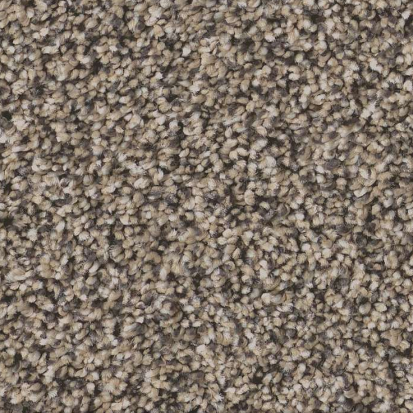 Shaw Floors Artistic Fusion I Sea Shell SHAW