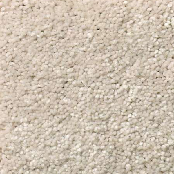 Shaw Floors Solidify II 12 Bleached SHAW