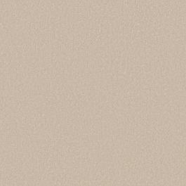 Shaw Floors Way To Go I Soft Landing SHAW