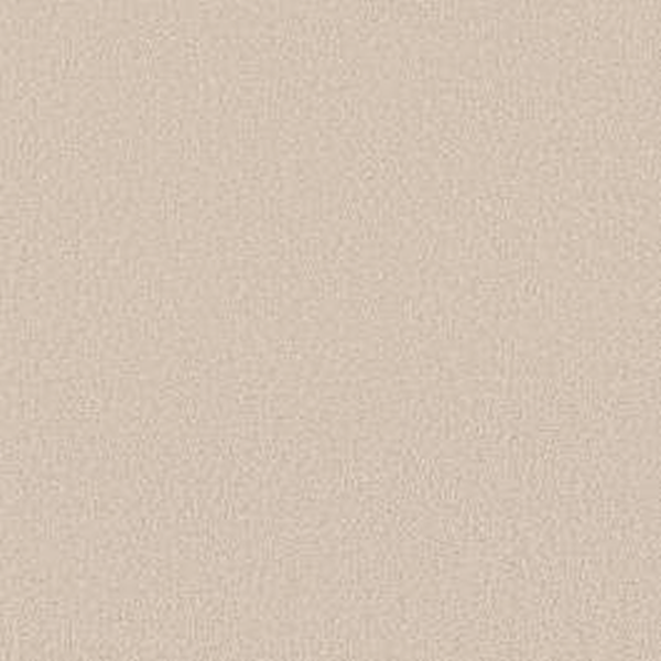 Shaw Floors Way To Go II Soft Landing SHAW