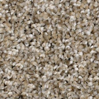 Shaw Floors Shake It Up (A) Weathered SHAW