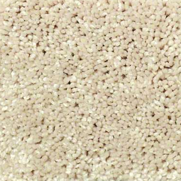 Shaw Floors Well Played I 12 Agate SHAW