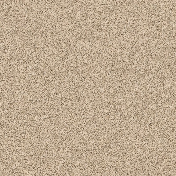 Shaw Floors Velvet Touch II Cashew SHAW