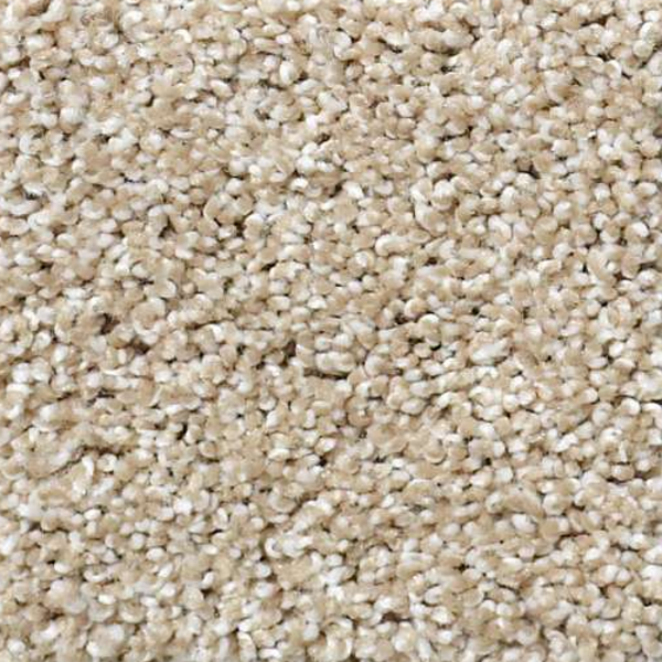 Shaw Floors Picturesque Dunes SHAW