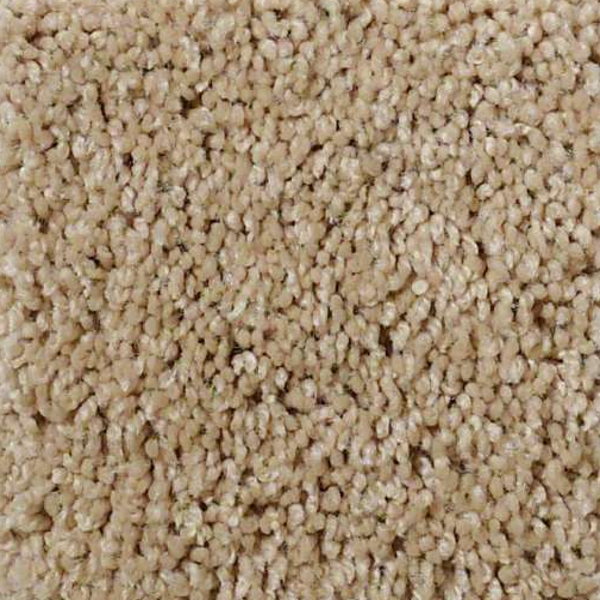 Shaw Floors Origins II Dunes SHAW