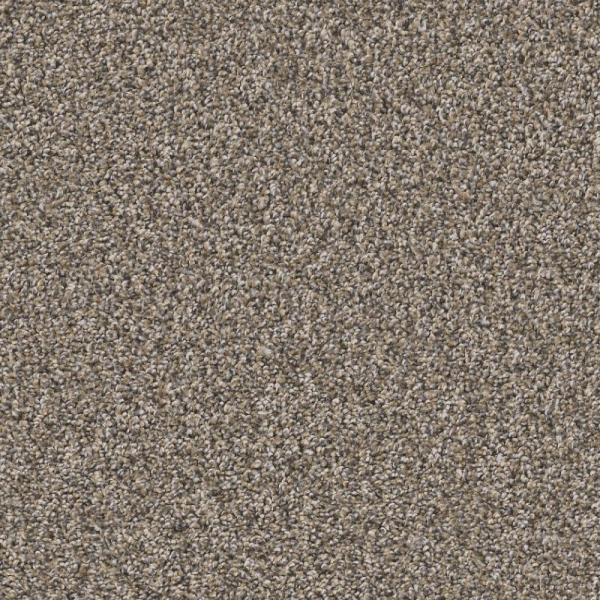 Shaw Floors Remixed Classic Nutria SHAW