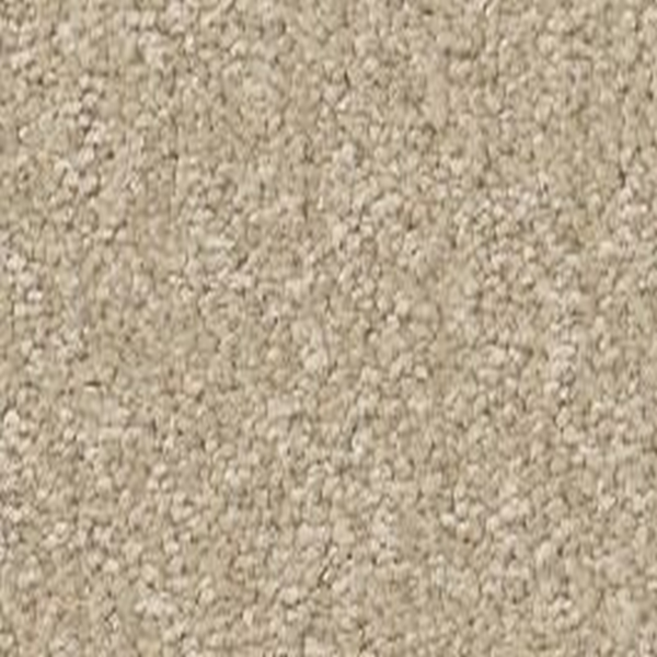 Shaw Floors Way To Go I Warm Breeze SHAW