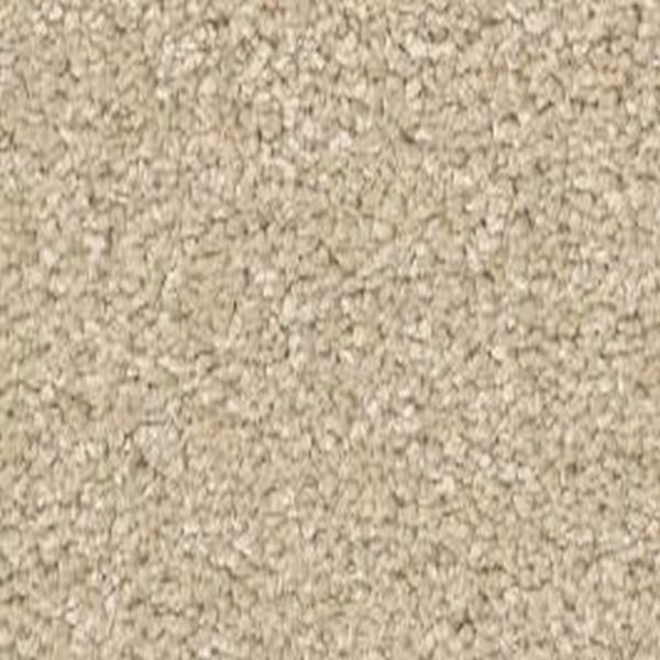 Shaw Floors Way To Go II Warm Breeze SHAW