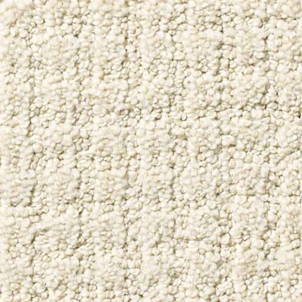 Shaw Floors Aerial Arts Canvas SHAW