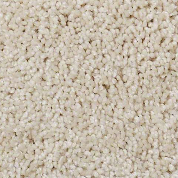 Shaw Floors Origins II Canvas SHAW