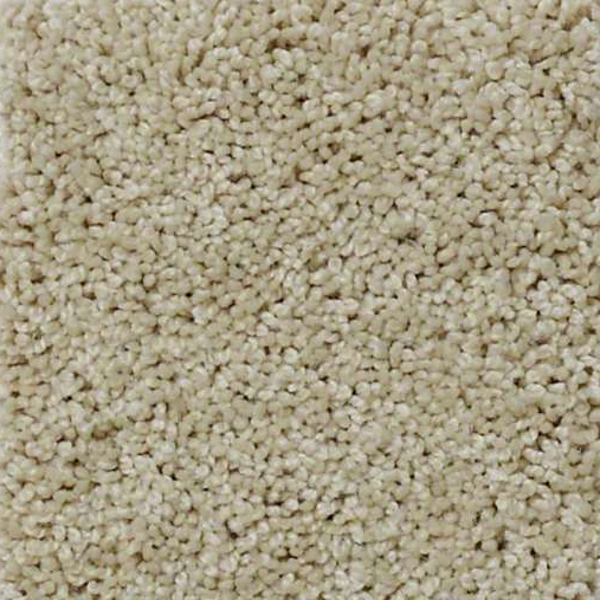 Shaw Floors Enduring Comfort III French Linen SHAW