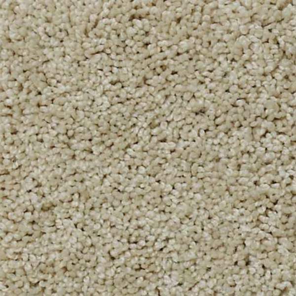 Shaw Floors My Choice III French Linen SHAW