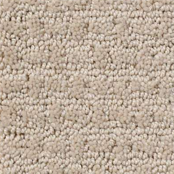 Shaw Floors Activate Frost SHAW