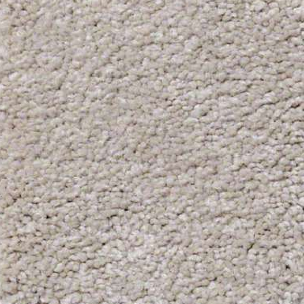 Shaw Floors Sandy Hollow Classic I Oatmeal SHAW