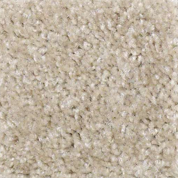 Shaw Floors Keep It Real Amazing Greige SHAW