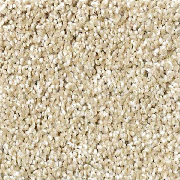 Shaw Floors Picturesque Fieldstone SHAW