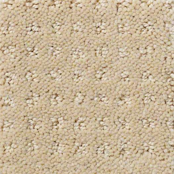 Shaw Floors Enduring Comfort Pattern Mesa SHAW