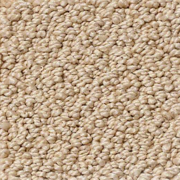 Shaw Floors Truly Relaxed Loop Mesa SHAW