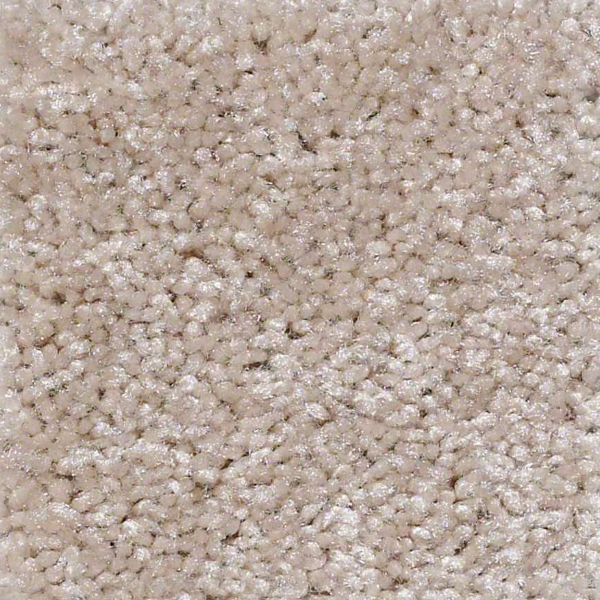 Shaw Floors Instant Winner Baby's Breath SHAW