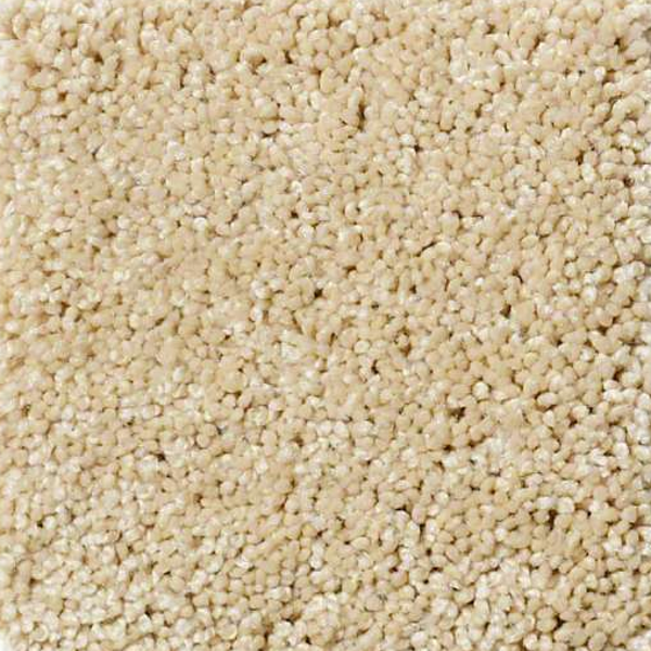 Shaw Floors Enduring Comfort III Blonde Cashmere SHAW