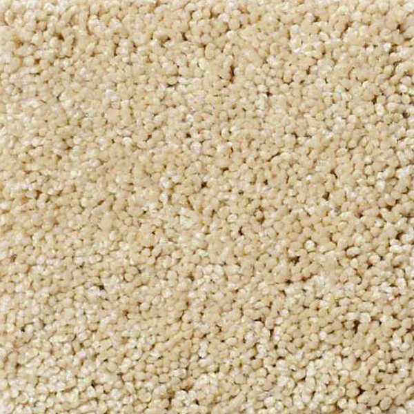 Shaw Floors Enduring Comfort II Blonde Cashmere SHAW