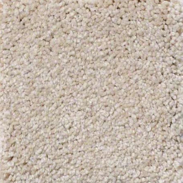 Shaw Floors Sandy Hollow Classic I Cashew SHAW