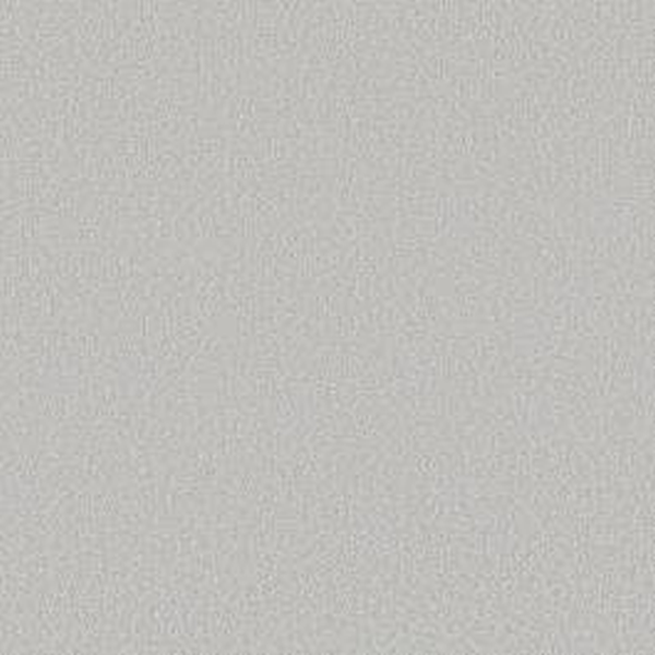 Shaw Floors Way To Go I Frost SHAW