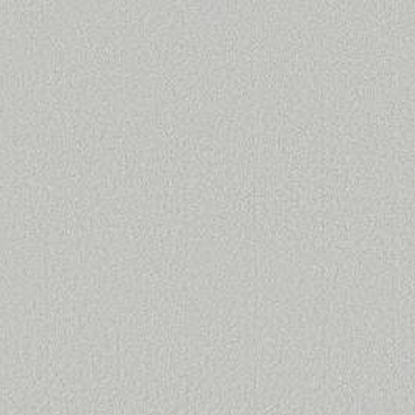 Shaw Floors Way To Go II Frost SHAW