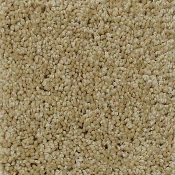 Shaw Floors Enduring Comfort III Taffeta SHAW