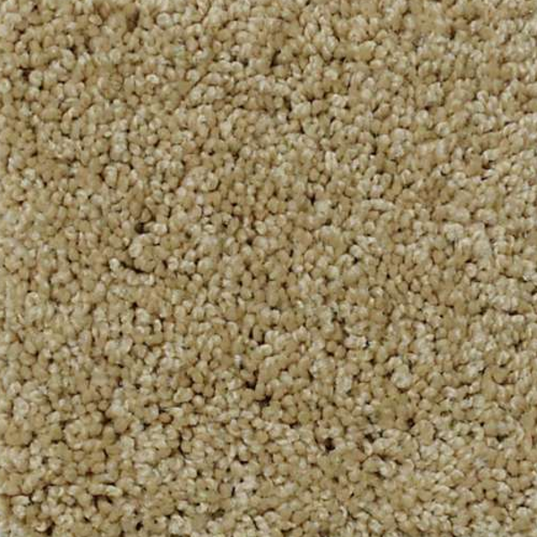 Shaw Floors My Choice III Taffeta SHAW