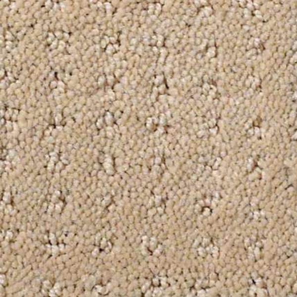 Shaw Floors My Choice Pattern Taffeta SHAW