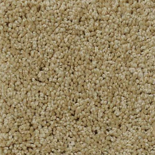 Shaw Floors My Choice I Taffeta SHAW