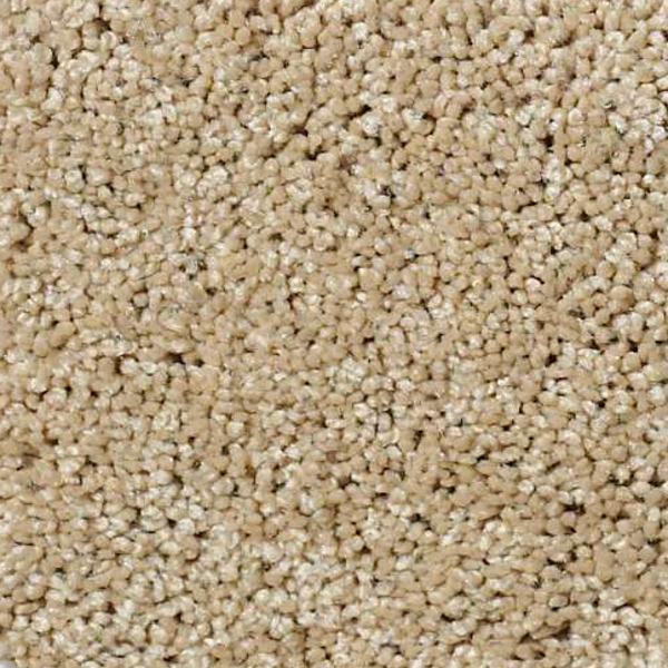 Shaw Floors My Choice II Taffeta SHAW