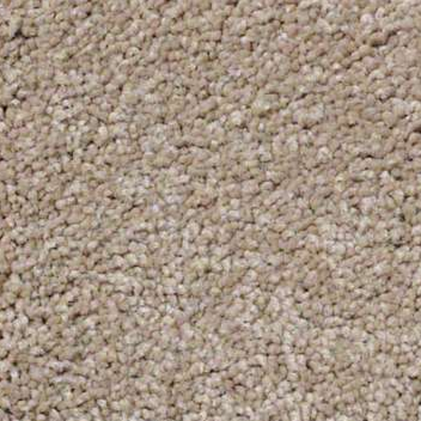 Shaw Floors Sandy Hollow Classic II Adobe SHAW