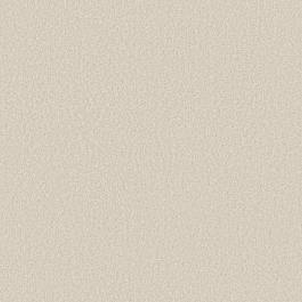 Shaw Floors Way To Go I Antique Ivory SHAW