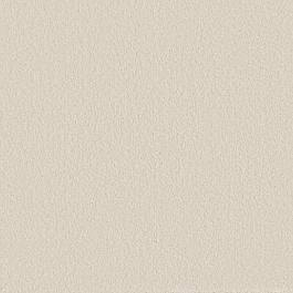 Shaw Floors Way To Go III Antique Ivory SHAW