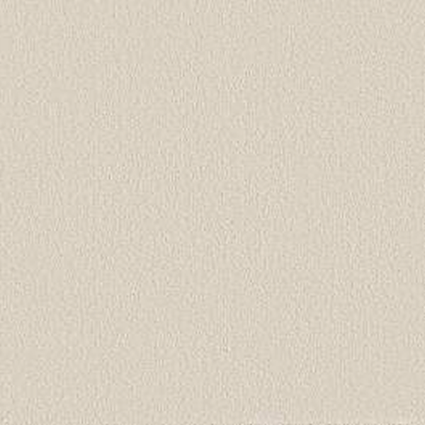 Shaw Floors Way To Go II Antique Ivory SHAW