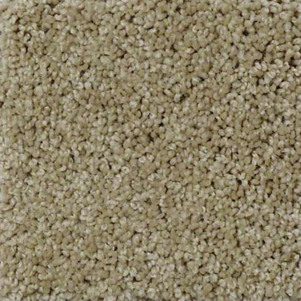 Shaw Floors Enduring Comfort III Clay Stone SHAW