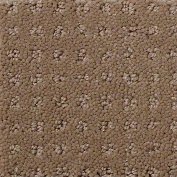 Shaw Floors Enduring Comfort Pattern Clay Stone SHAW