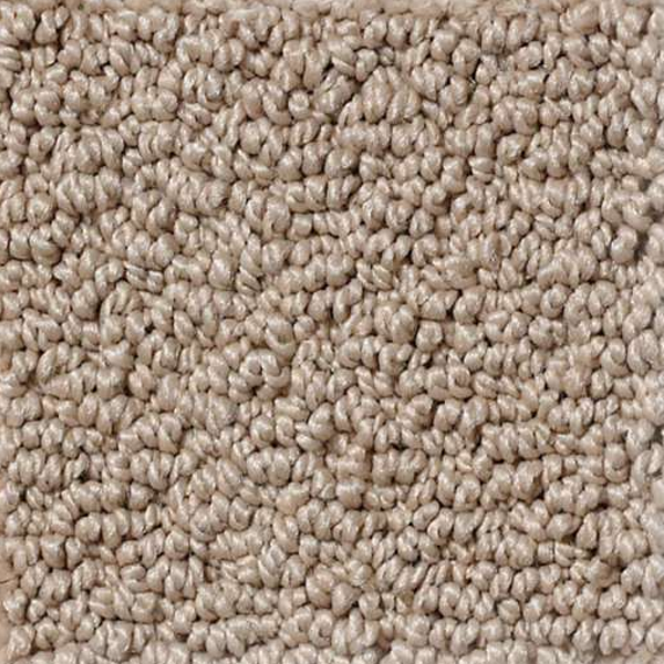 Shaw Floors Timeless Charm Loop Clay Stone SHAW