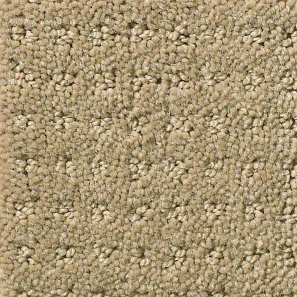 Shaw Floors My Choice Pattern Clay Stone SHAW