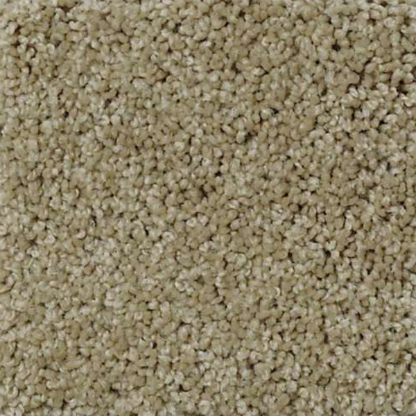 Shaw Floors My Choice I Clay Stone SHAW