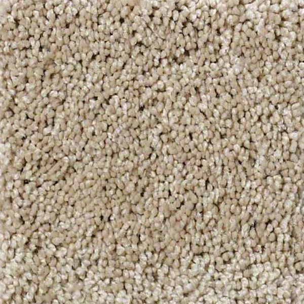 Shaw Floors Enduring Comfort II Clay Stone SHAW