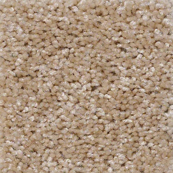 Shaw Floors Instant Winner Fawn SHAW